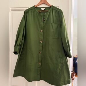 Green tuckernuck swing dress with buttons